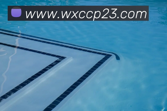 杏彩体育服务体系